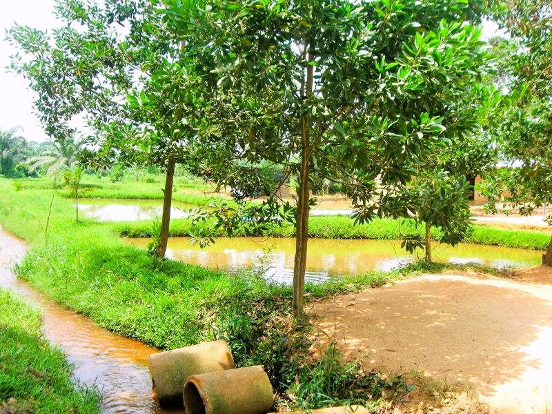 Espace naturel